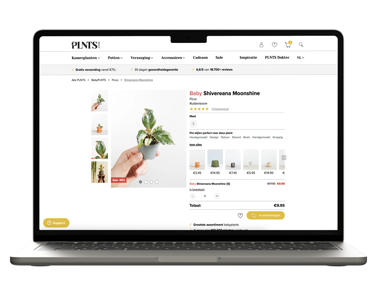 Maatwerk webapplicatie in laptop-mockup