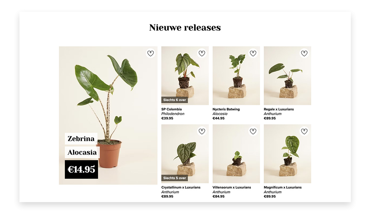 Voorbeeld van een webshop die geoptimaliseerd kan worden