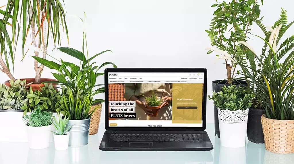 De PLNTS-webshop met het uitgebreide plantenassortiment